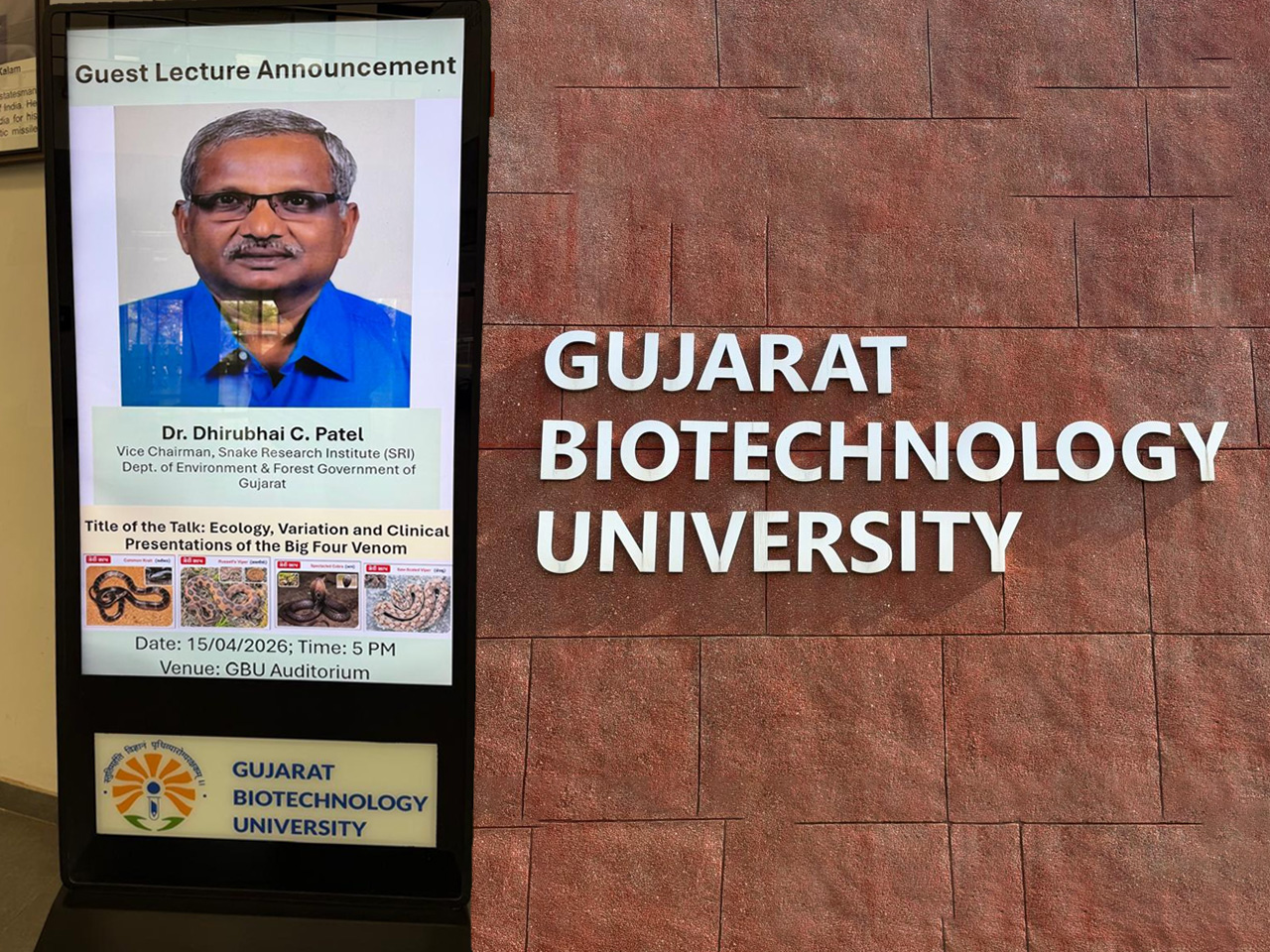 Social-Wellness-Activities